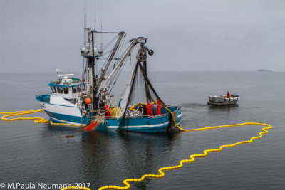 Salmon fishing