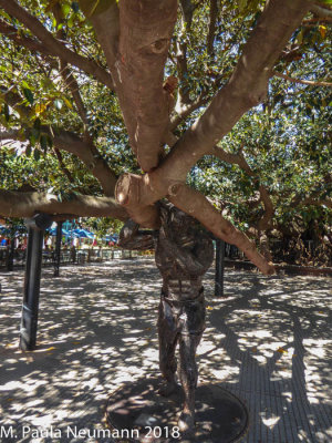 Ficus tree supported by Atlas statue near Recoleta cemetery 
