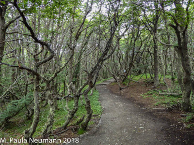 Tierra del Fuego National Park