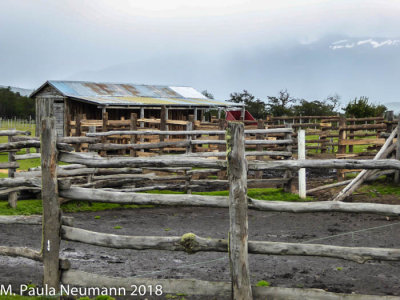 Ranch in Torres del Paine