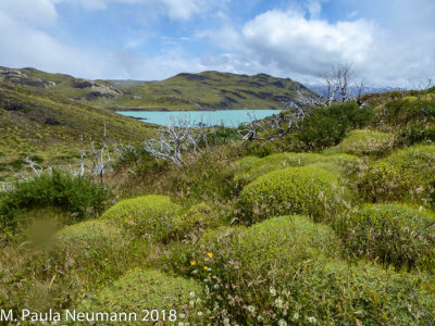 Torres del Paine National Park, Chile