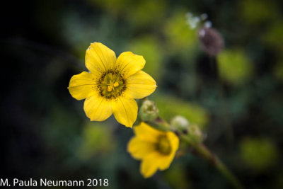 3D0A0577.jpg