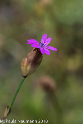 3D0A0618.jpg