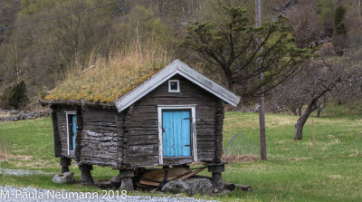 g10/53/1115353/3/167614234.9jvMFJbk.jpg