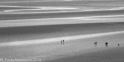 Mud flats by Mont St. Michel