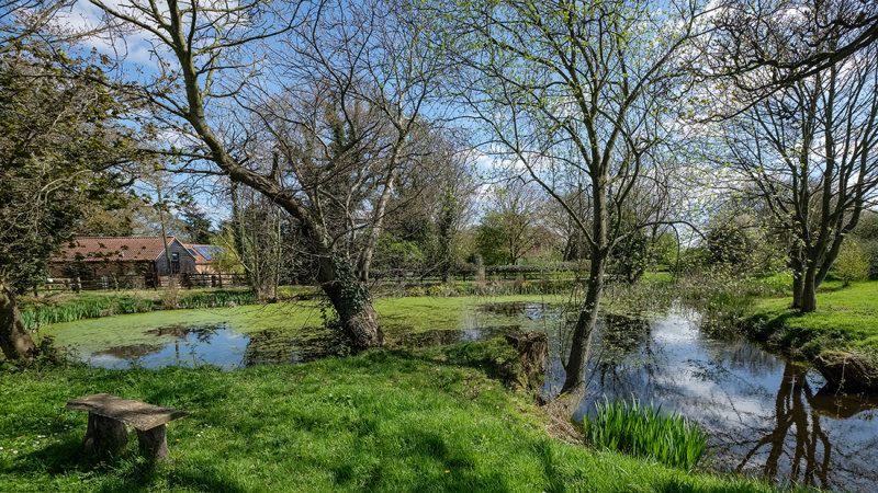 Plumstead Pond