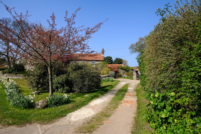 cottage.jpg