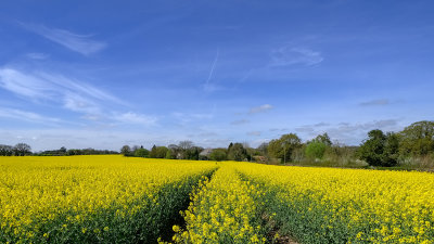 My Village