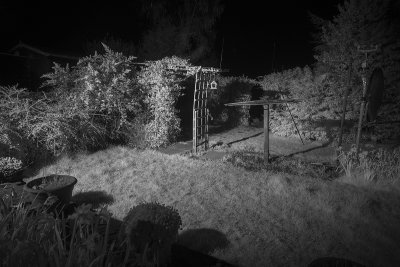 Back Garden