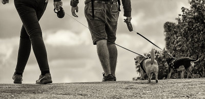 Walkies