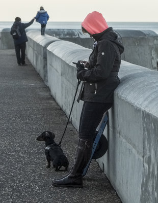 You walk the boy and I`ll walk the Dog