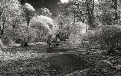 A Walk in Sheringham Park
