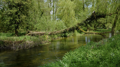 Bintree Mill