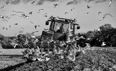 Ploughing mono