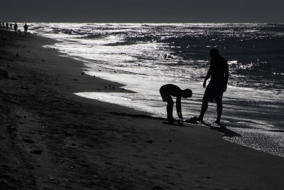 Shelling at dawn.