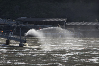 6. A discharge for smolts on their way back to sea. The sprays are to discourage maurading birds.