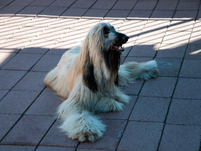 DSC_0143.jpg