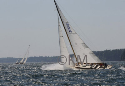 g10/53/578453/3/165475124.L3ihiQ8H.jpg