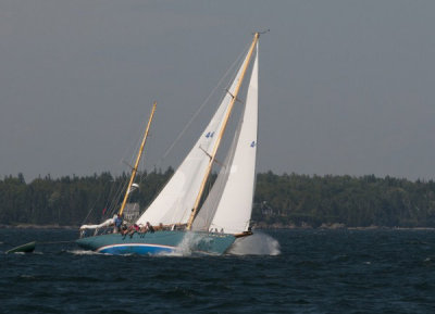 g10/53/578453/3/165476404.MUvOTfCR.jpg