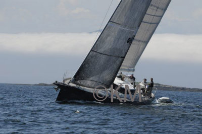 g10/53/578453/3/166267910.BoZVl31j.jpg