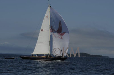 g10/53/578453/3/166280535.PF6krcfT.jpg