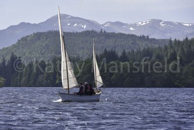 g10/53/578453/3/167733027.LuLBjkDn.jpg