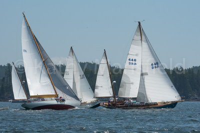 g10/53/578453/3/168464853.yi4I4CK2.jpg