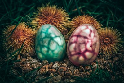 April 15th - Behold, Dragon Eggs