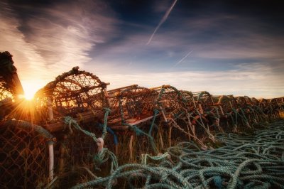 Sunsets & Lobster Pots