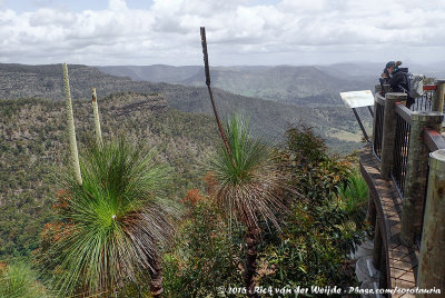 José at the viewpoint