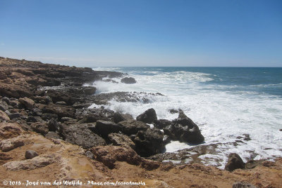 Atlantic coast of South-Morocco