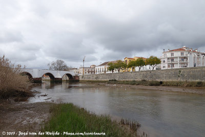 River in Silves