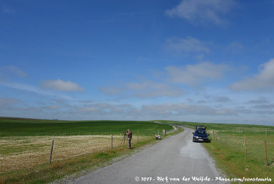 Birding the Plains of Castro Verde