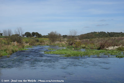 Entradas River Crossing