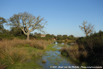 Scenery around Monte Horizonte