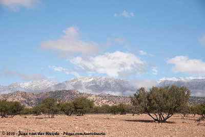 From Argan Steppe to the High Atlas Mountains