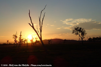 Australian sunset