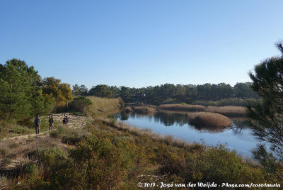 Lagoa de Murta