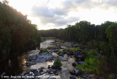 Bridge over the Cattle Creek