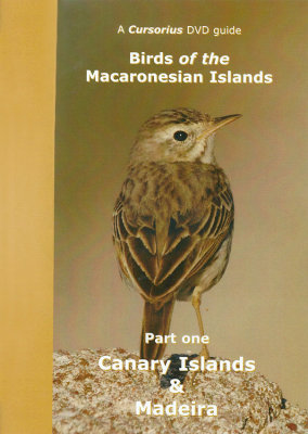 Cursorius DVD Guide - Birds of the Macaronesian Islands