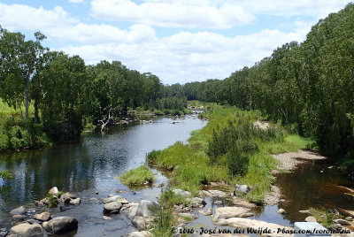 Bridge over the Cattle Creek