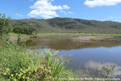 Townsville Common