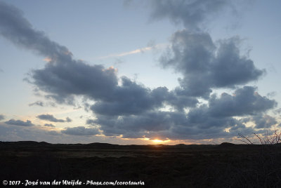 Duinen van Texel