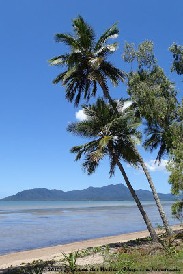 East coast beach