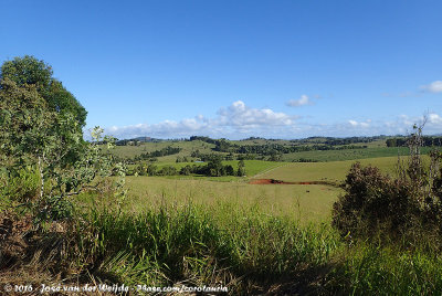 Atherton Tablelands