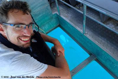 The glass bottom boat transfer to Michaelmas Cay