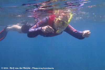 José snorkling