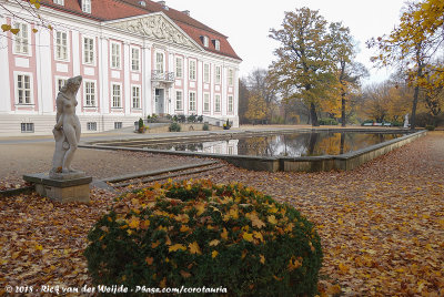 Schloss Friedrichsfelde