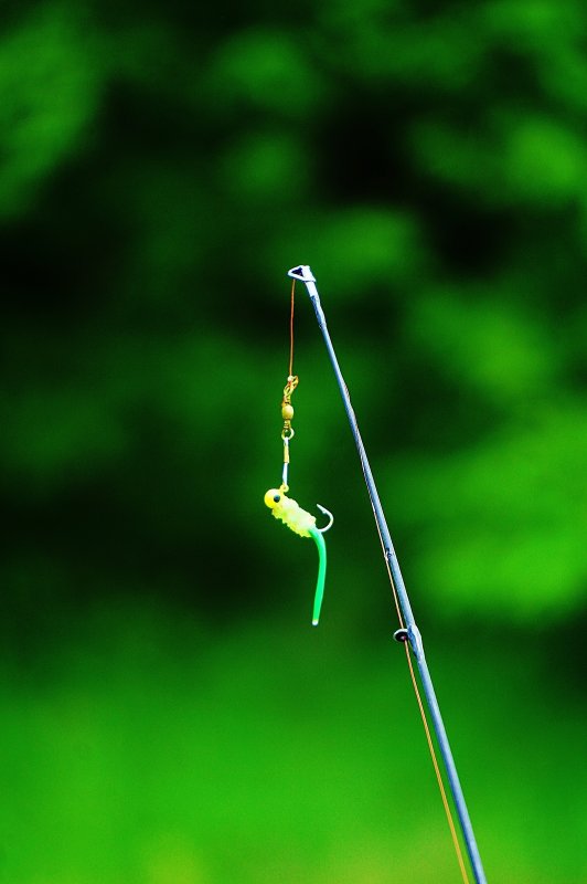 Bait !