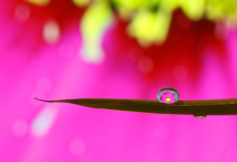 Cosmo_Inside.jpg